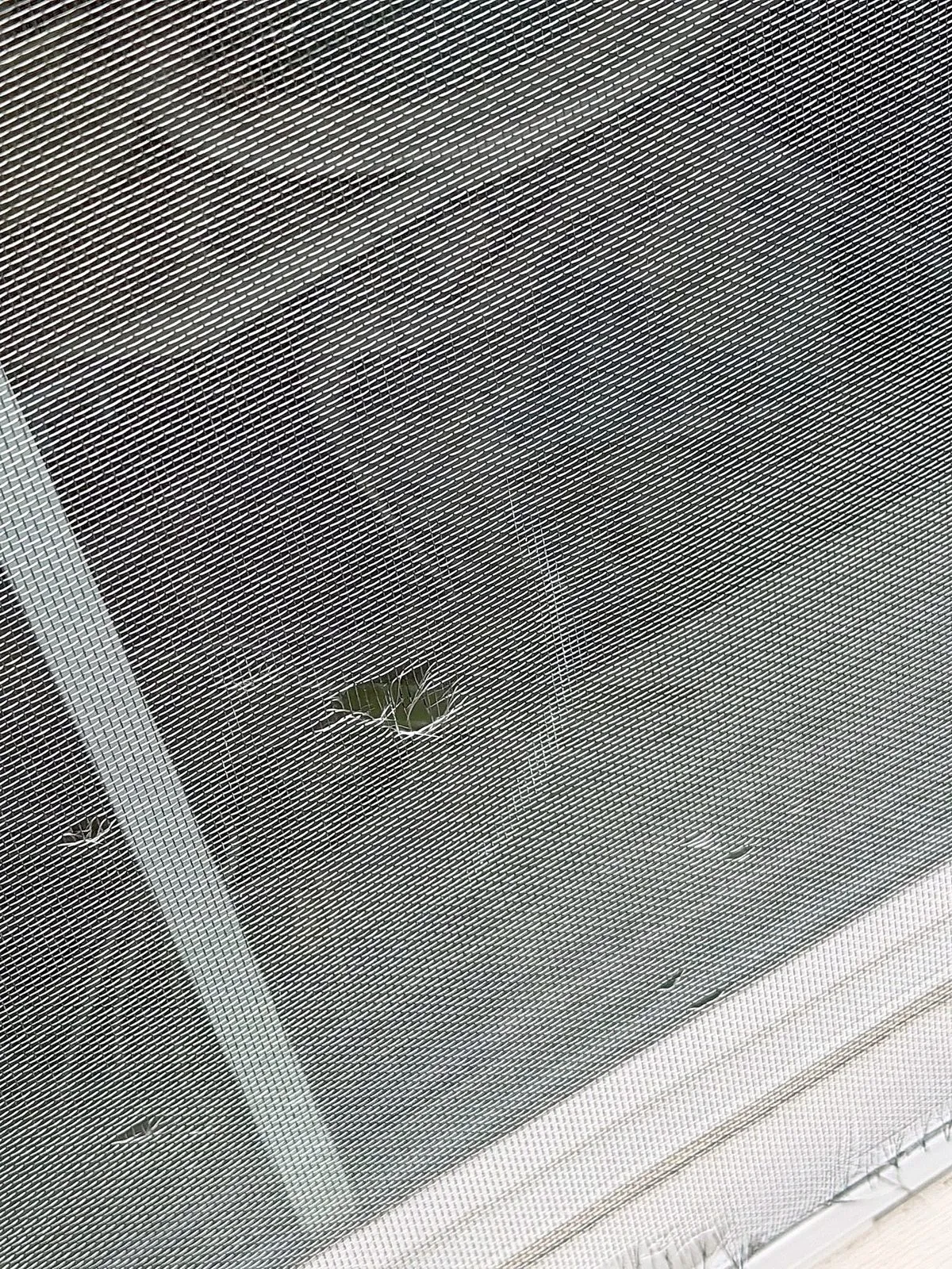 Damaged window screen showing an impact mark