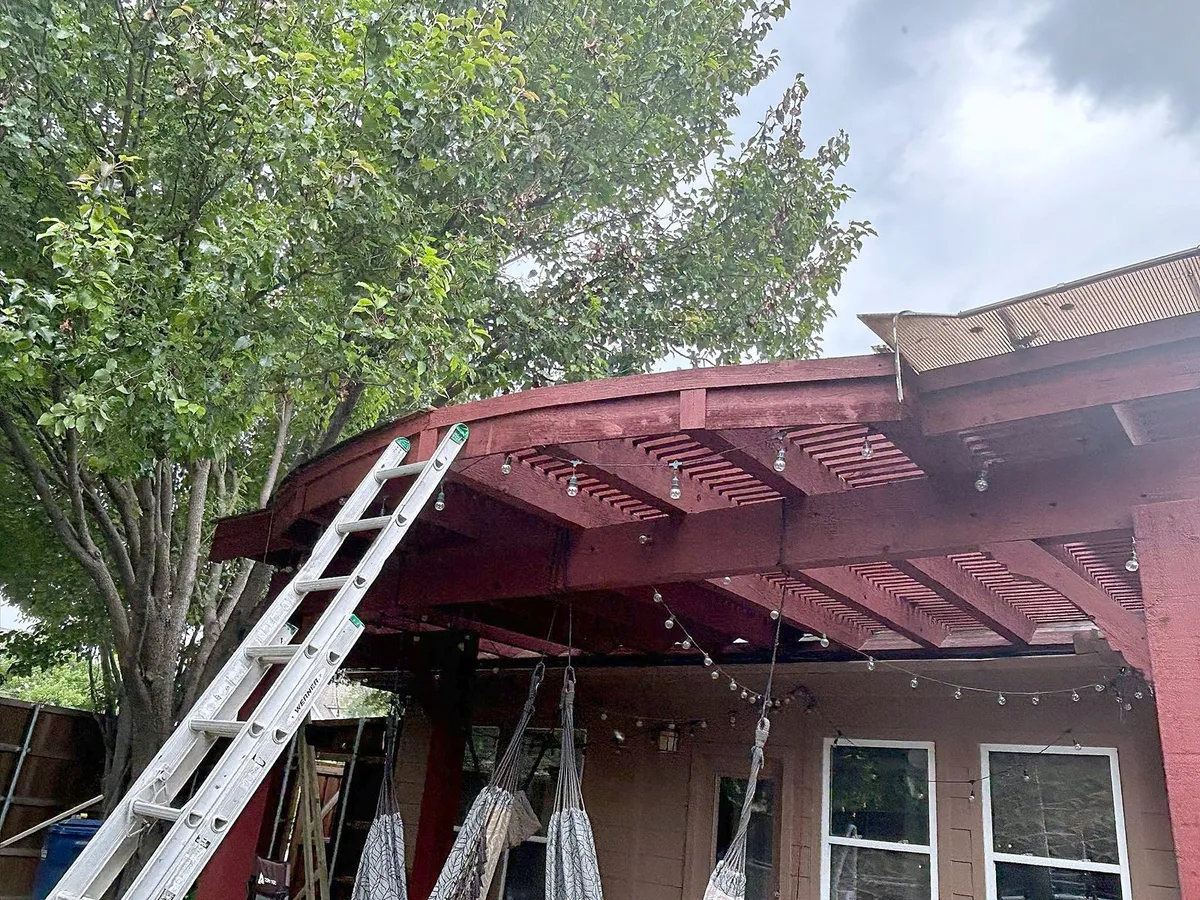 Ladder set against the house beside the pergola
